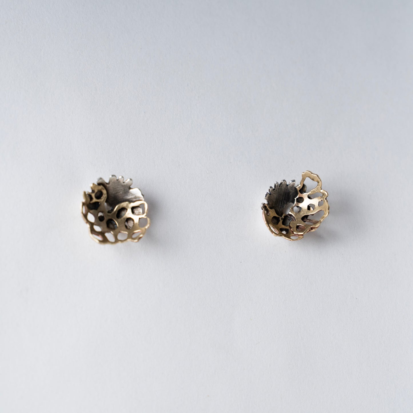SMALL * An ode to Montipora Peltiformis - oxidized and matte finish brass earrings, available for custom order in gold and silver (Copy)