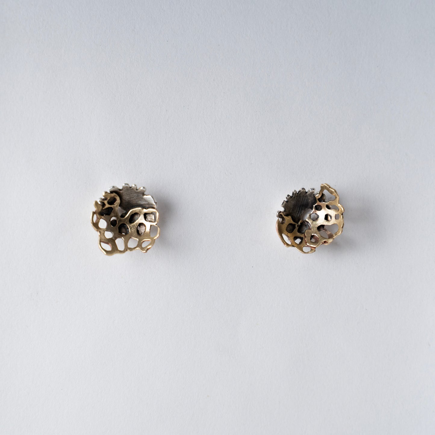 SMALL * An ode to Montipora Peltiformis - oxidized and matte finish brass earrings, available for custom order in gold and silver (Copy)