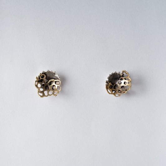 SMALL * An ode to  Montipora Peltiformis  - oxidized and matte finish brass earrings, available for custom order in gold and silver (Copy)