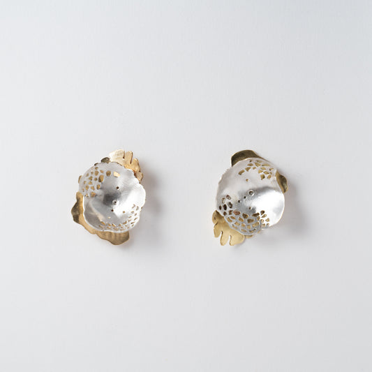 An Ode to Merulinidae - brass and silver handcrafted earrings