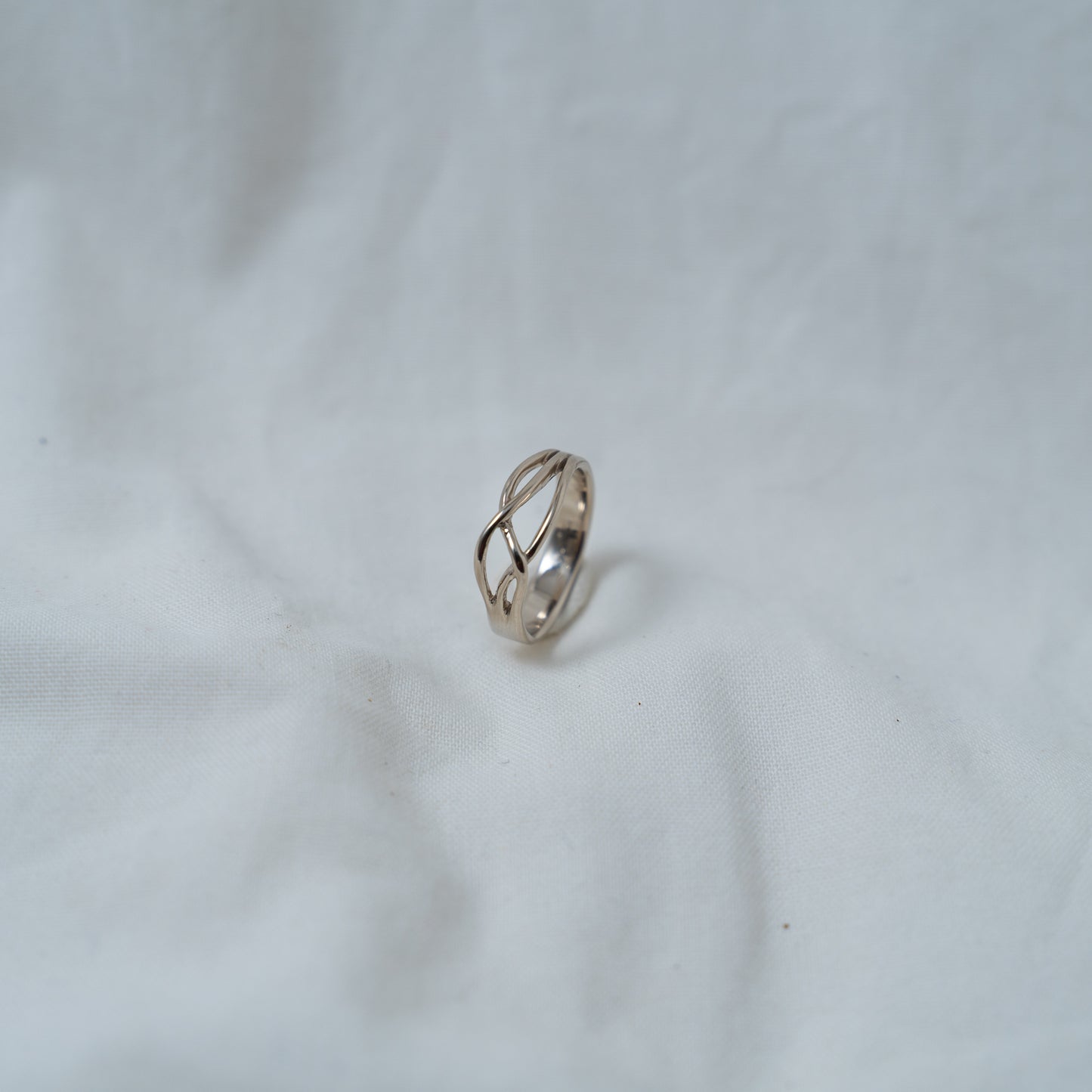 Eliza and Mike’s wedding band