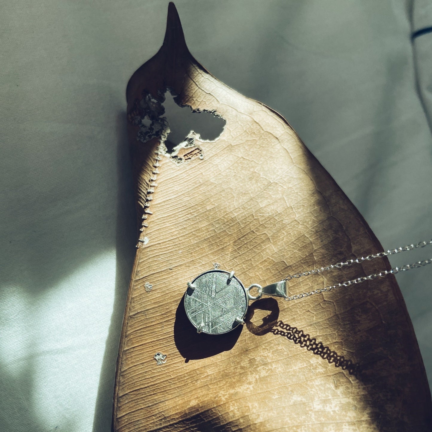 Hydrus | interchangeable Namibian meteorite silver pendant