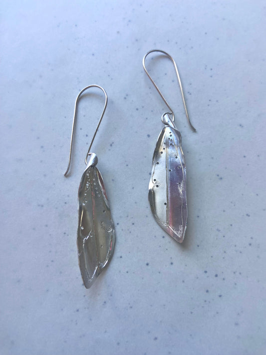 Silver cicada wing earrings.